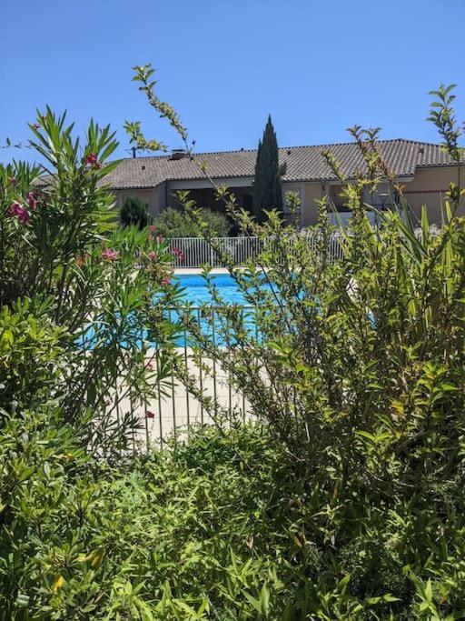 Apartment Carre De Detente Jacuzzi Jardin Piscine T3 Parking *