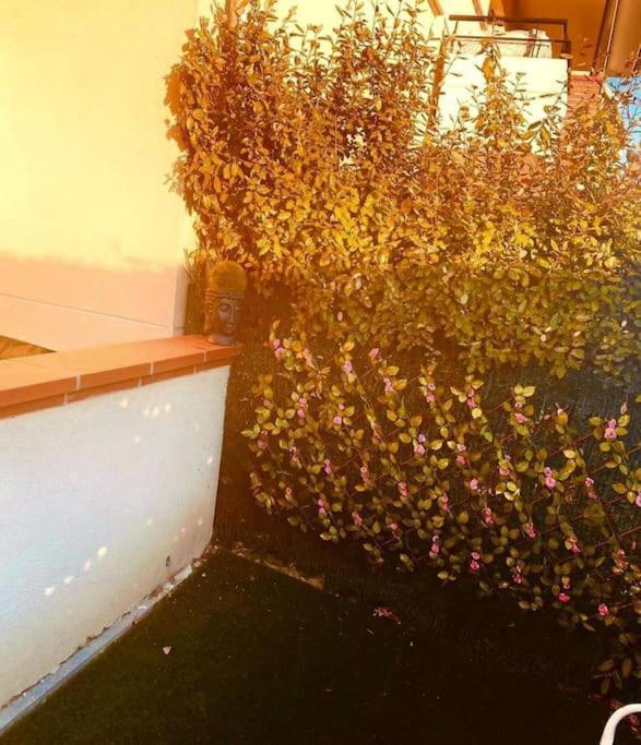 Carre De Detente Jacuzzi Jardin Piscine T3 Parking Apartment Castelnau-dʼEstrétefonds